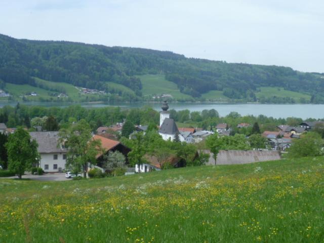 Wunderschoene Ferienwohnung Mit Seeblick Zell am Moos Exterior photo